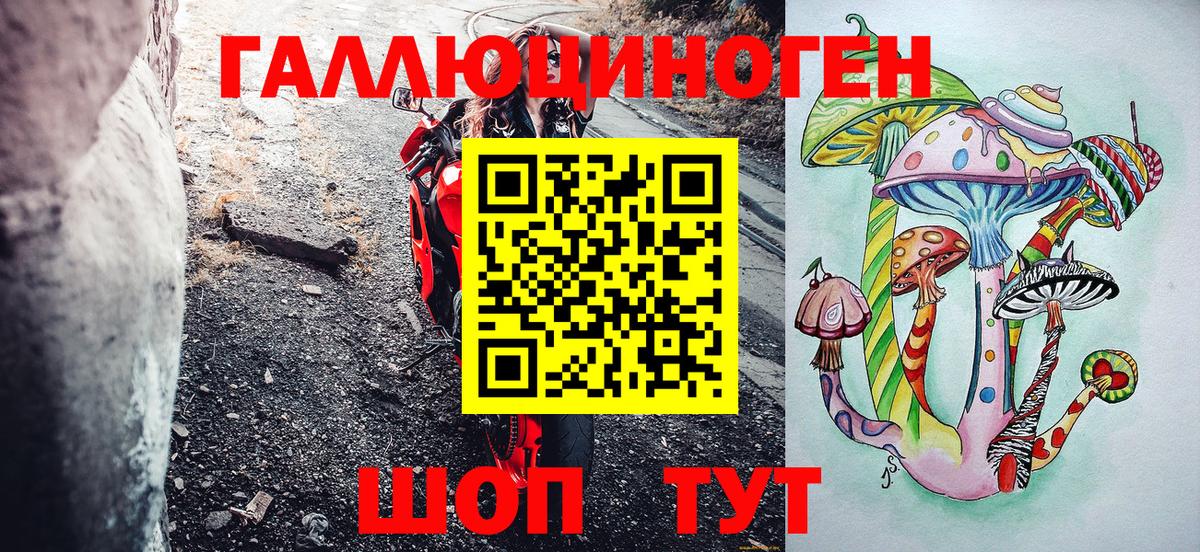 Галлюциногенные грибы Psilocybe Вятские Поляны