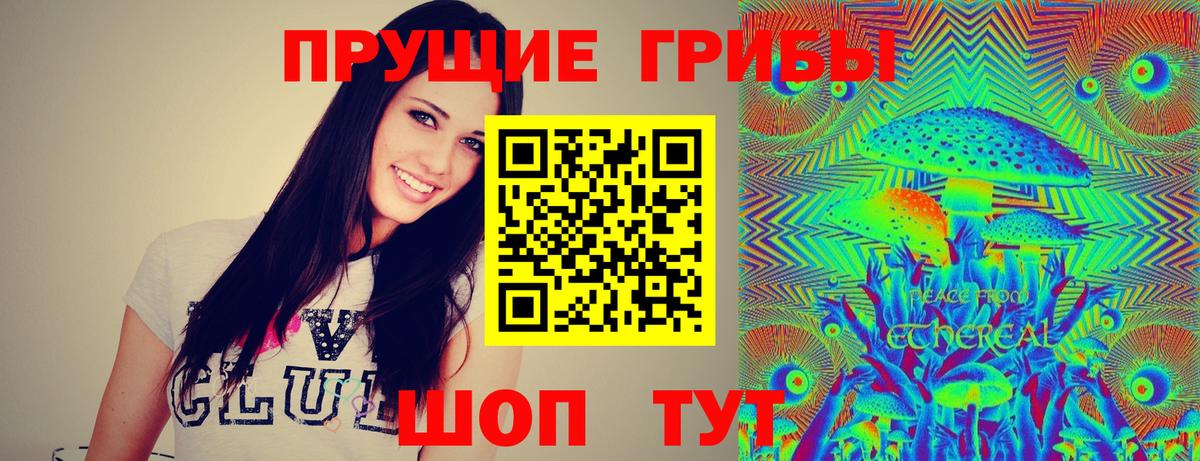 Псилоцибиновые грибы Psilocybe  Псилоцибиновые грибы прущие грибы  Вход с VPN  Вятские Поляны 